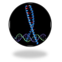 Revolver Therapeutics logo